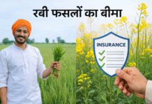 रबी फसलों का बीमा 31 दिसंबर तक अनिवार्य रूप से कराएं किसान : उपायुक्त महेंद्र पाल