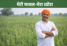 मेरी फसल-मेरा ब्यौरा: फसल बीमा व MSP के लिए पंजीकरण जरूरी, DC महेंद्र पाल की अपील