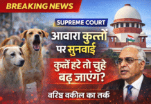 आवारा कुत्तों पर सुप्रीम कोर्ट की सुनवाई: कुत्ते हटे तो बढ़ेंगे चूहे, बोले वरिष्ठ वकील